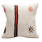 cushion pillow cover