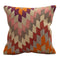 Decorative Throw Pillow