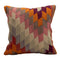 Decorative Throw Pillow