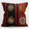 Decorative Throw Pillow