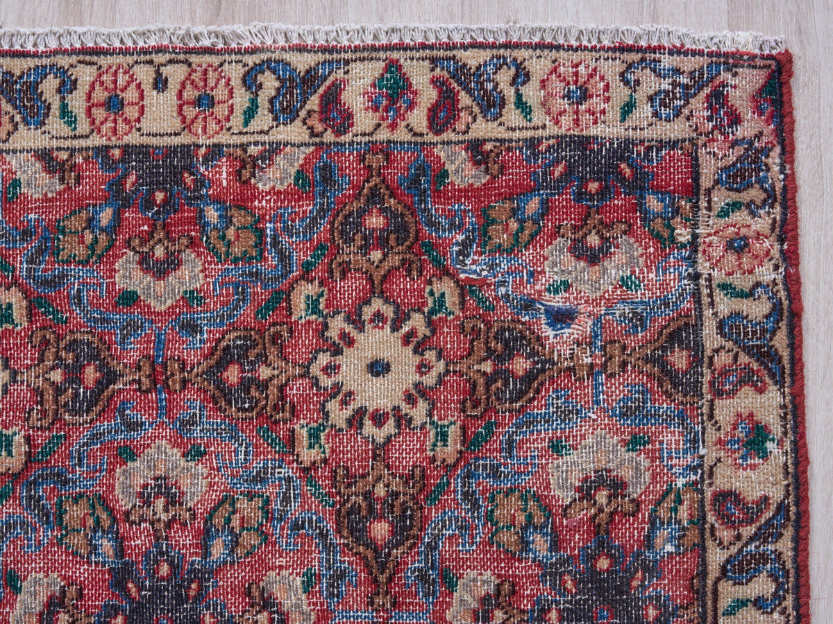 2'11" x 9'9" Oriental Persian Style Runner Rug