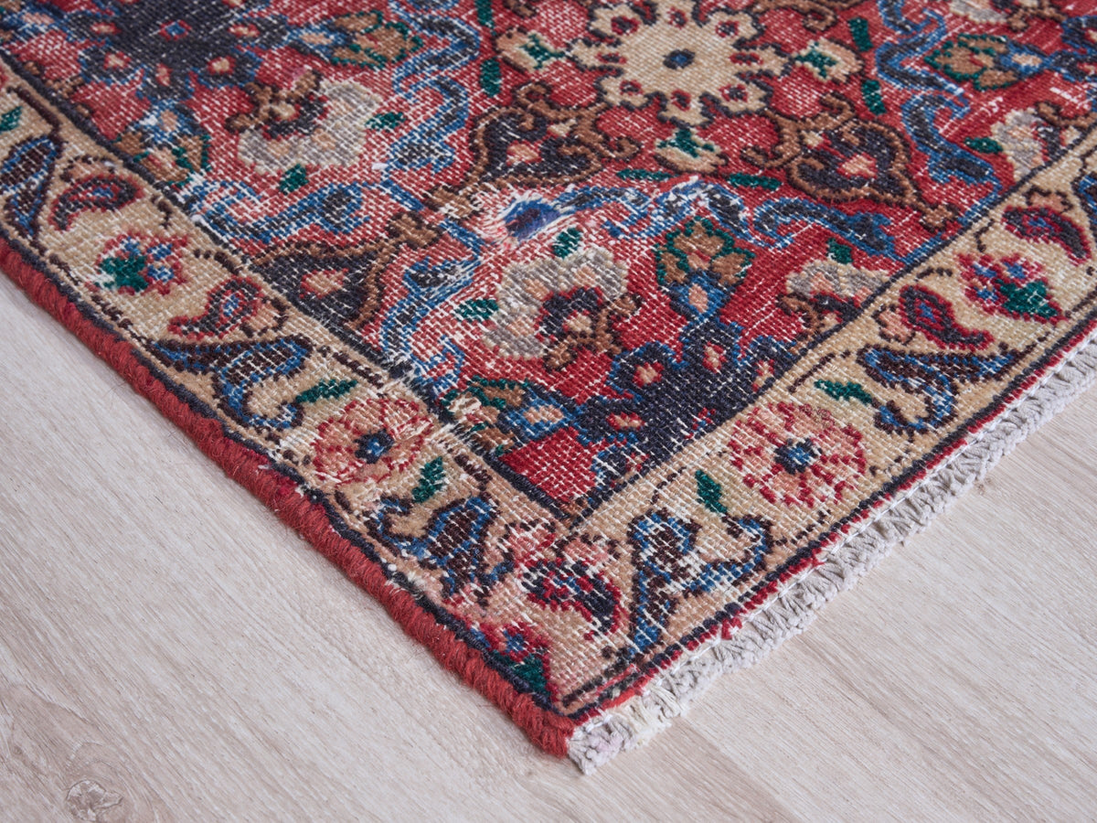 2'11" x 9'9" Oriental Persian Style Runner Rug