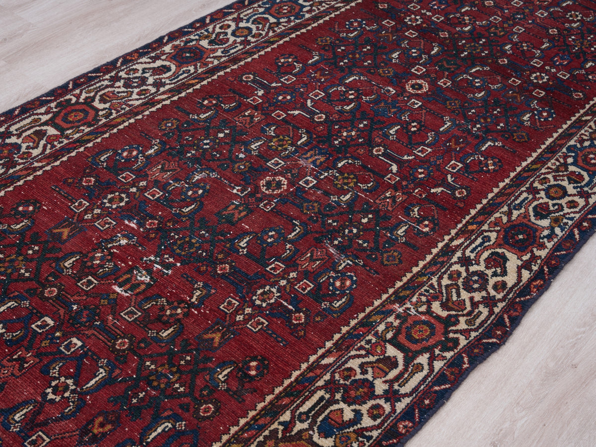 3'5" x 10'2" Oriental Persian Style Runner Rug