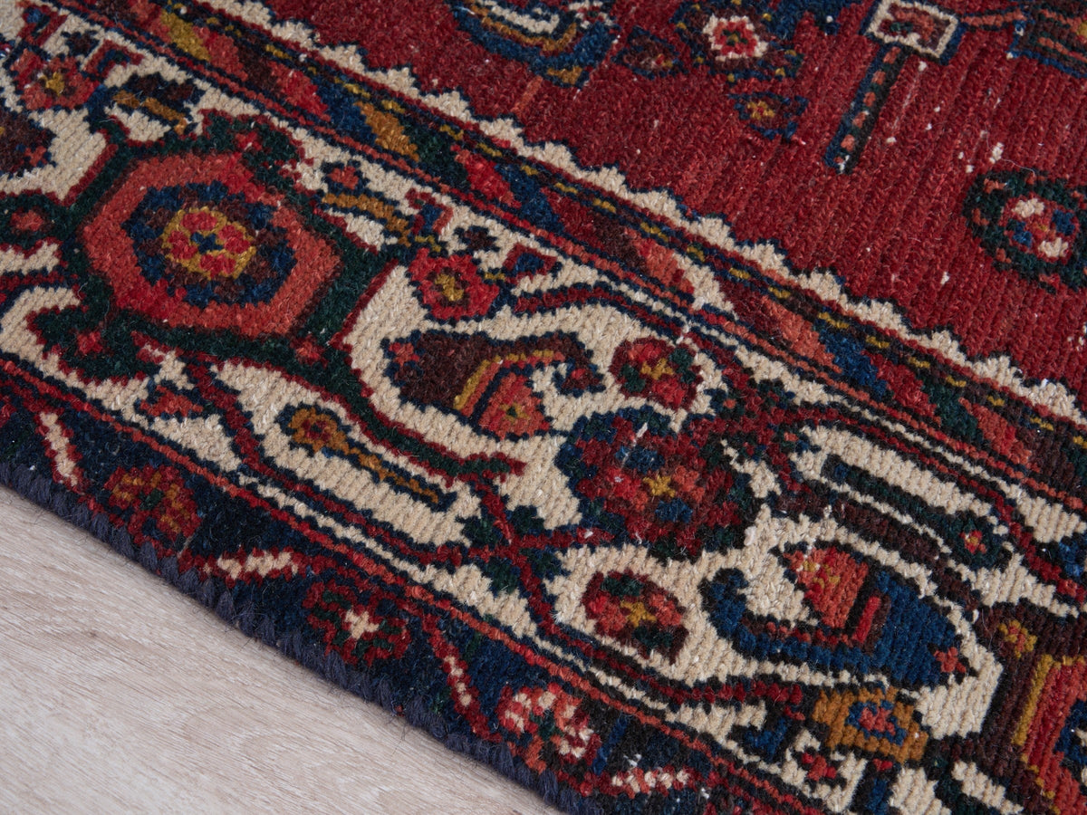 3'5" x 10'2" Oriental Persian Style Runner Rug