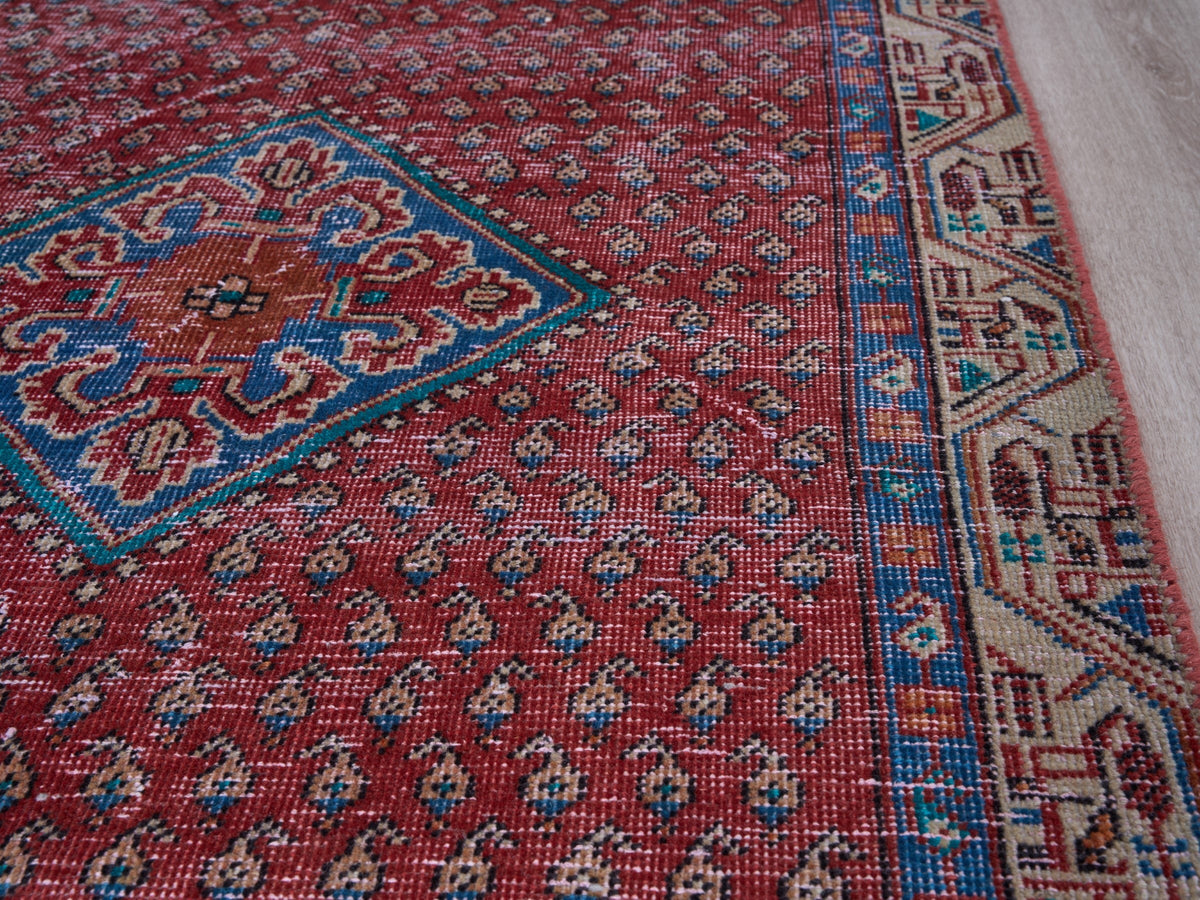 2'11" x 9'9" Oriental Red Persian Style Runner Rug