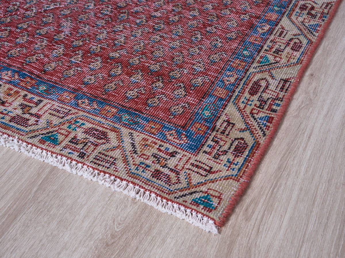 2'11" x 9'9" Oriental Red Persian Style Runner Rug