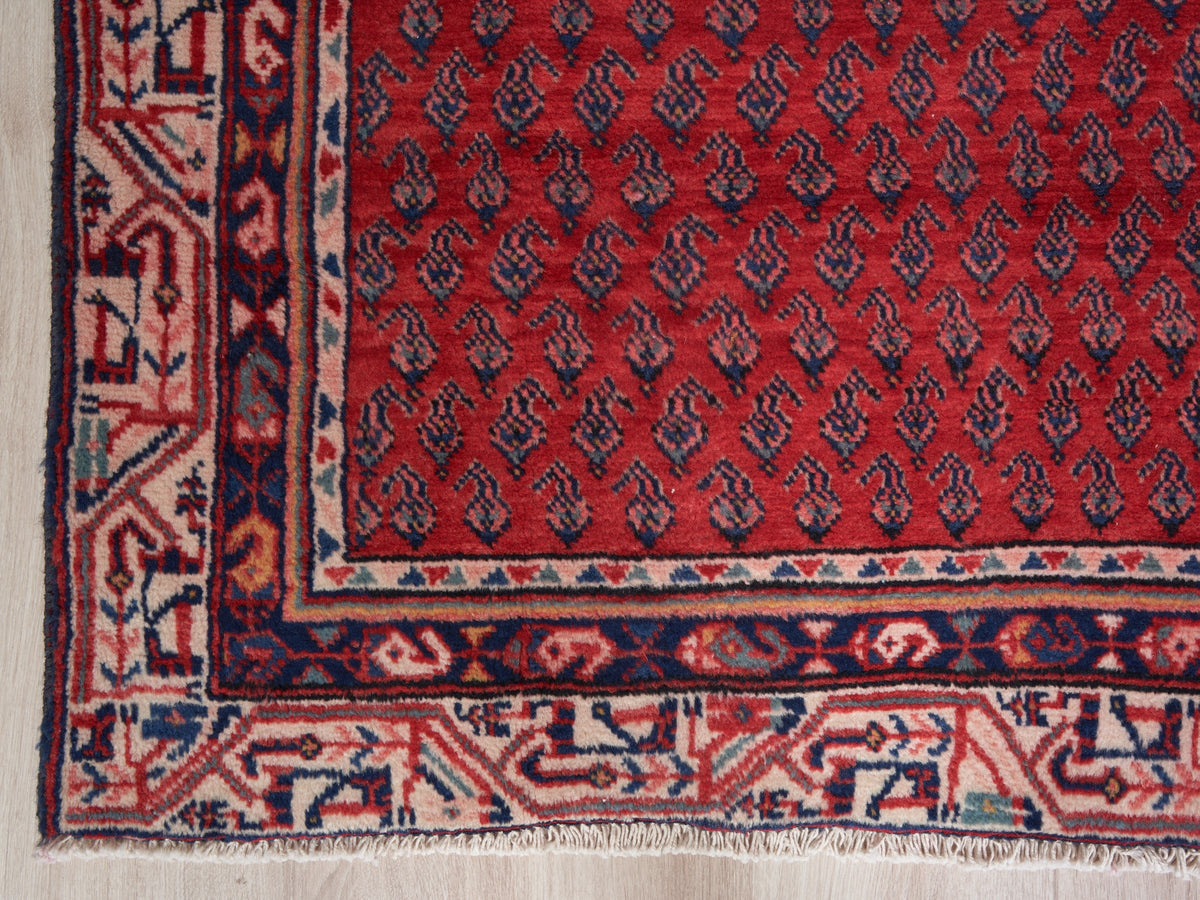 3'11" x 10'9" Oriental Persian Red Runner Rug